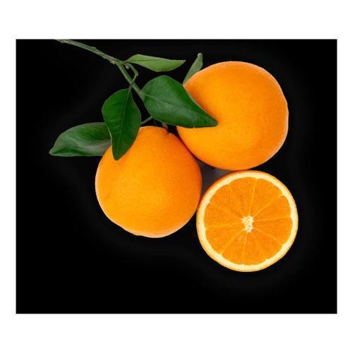 00244451_0