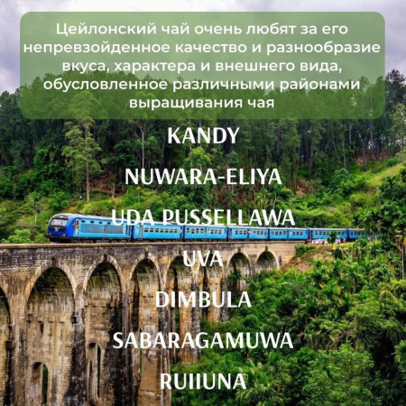 Чай Креатлюр зеленый крупнолистовой 250г
