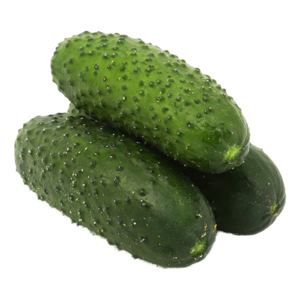 Огурцы короткоплодные